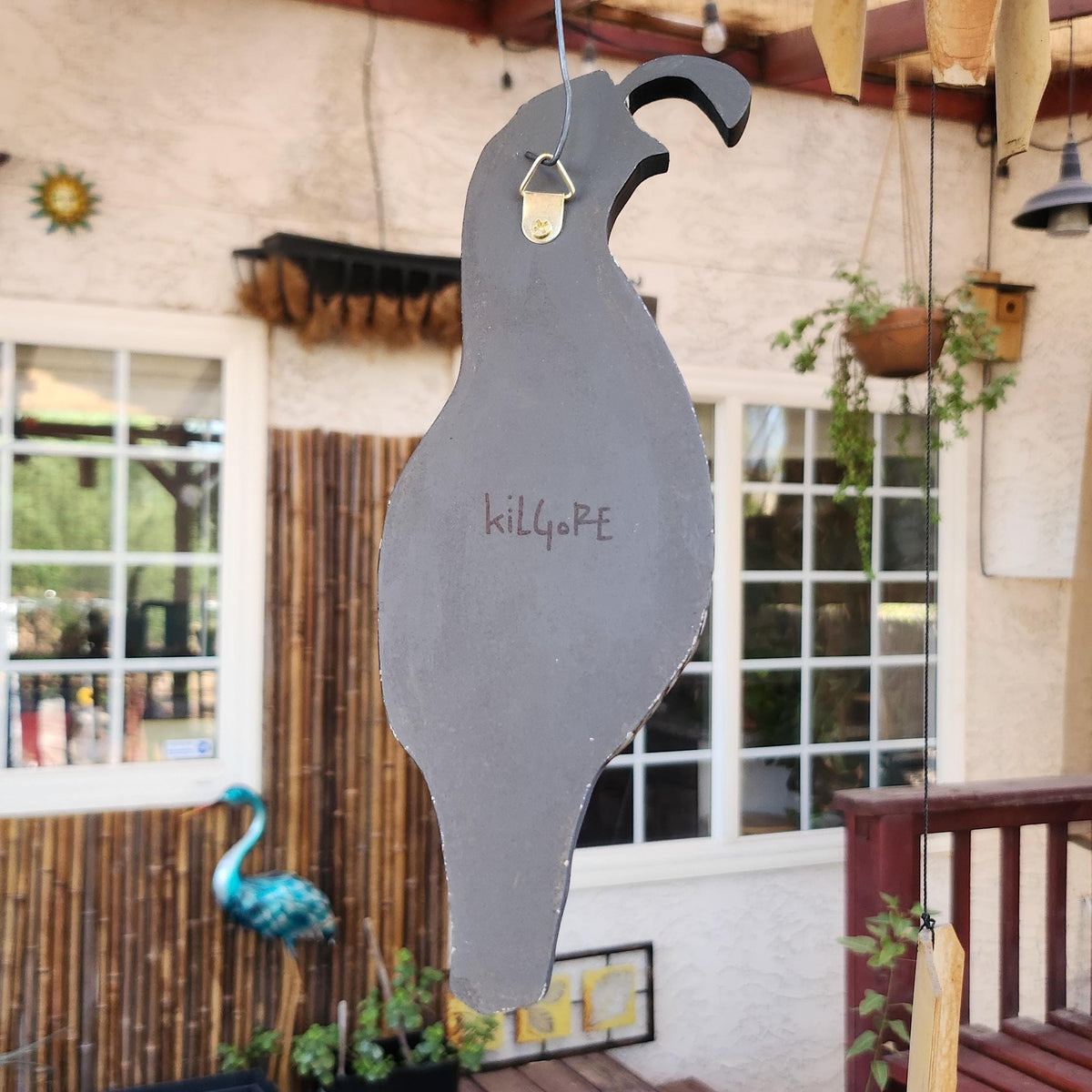 California Quail