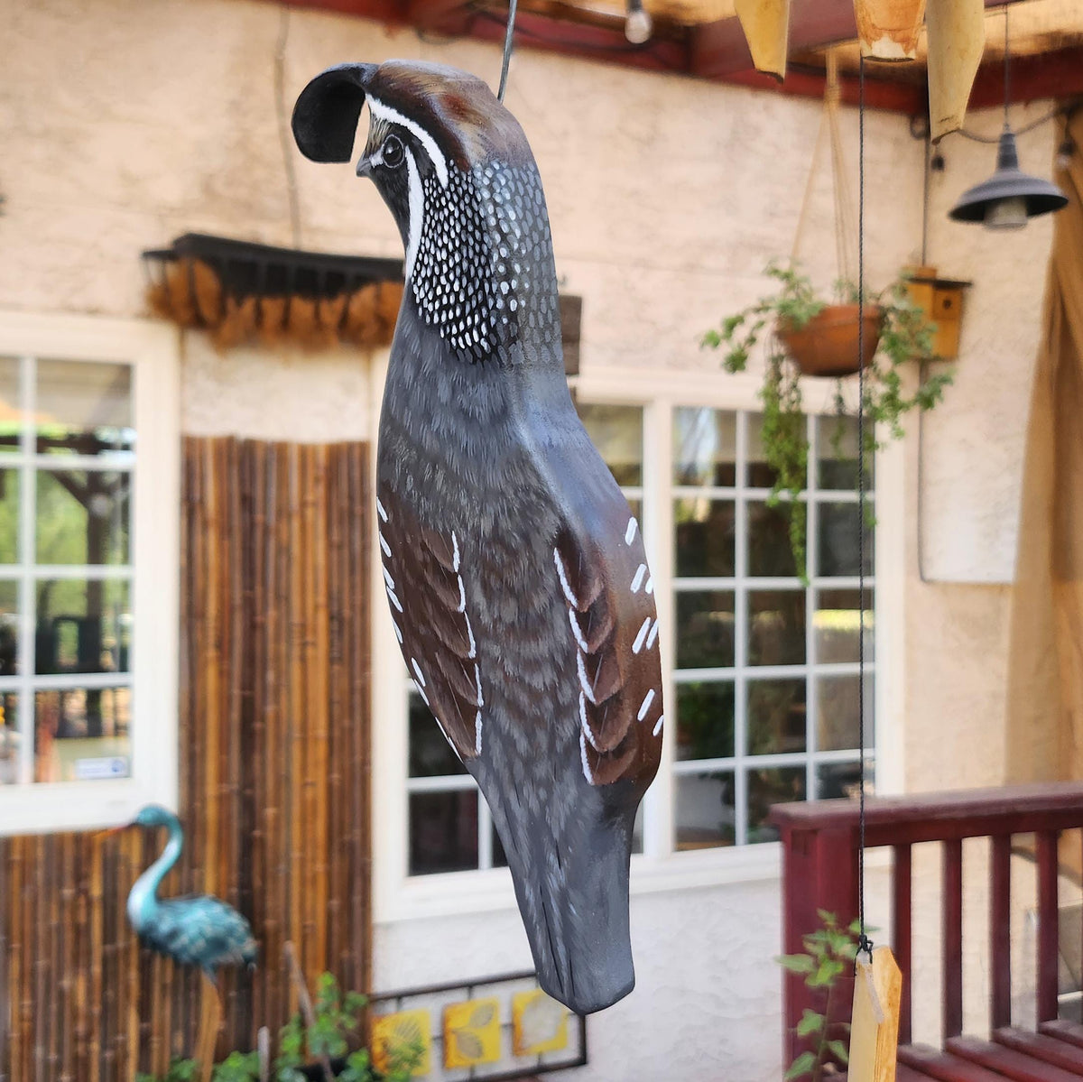 California Quail