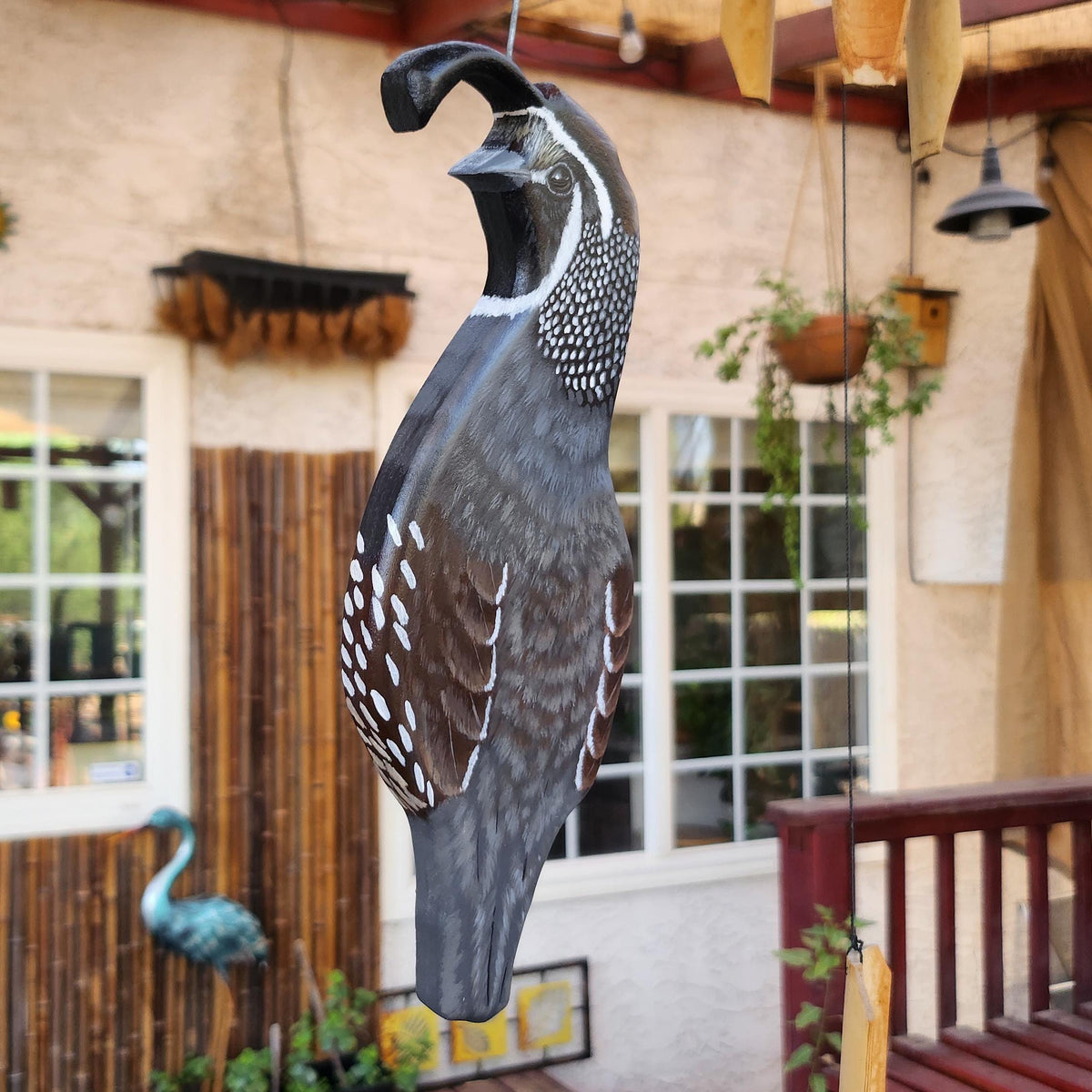 California Quail