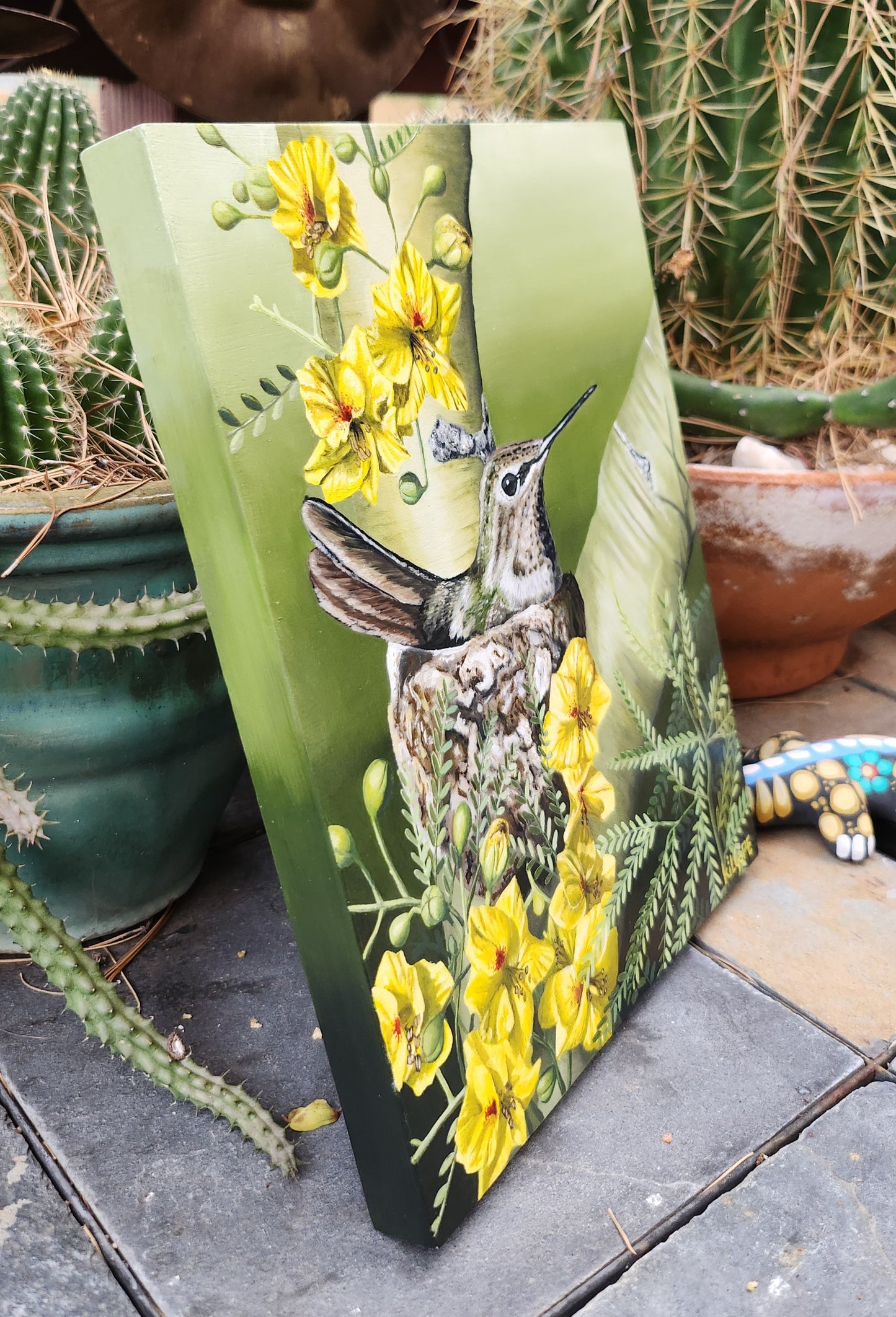 Where the Desert Softens