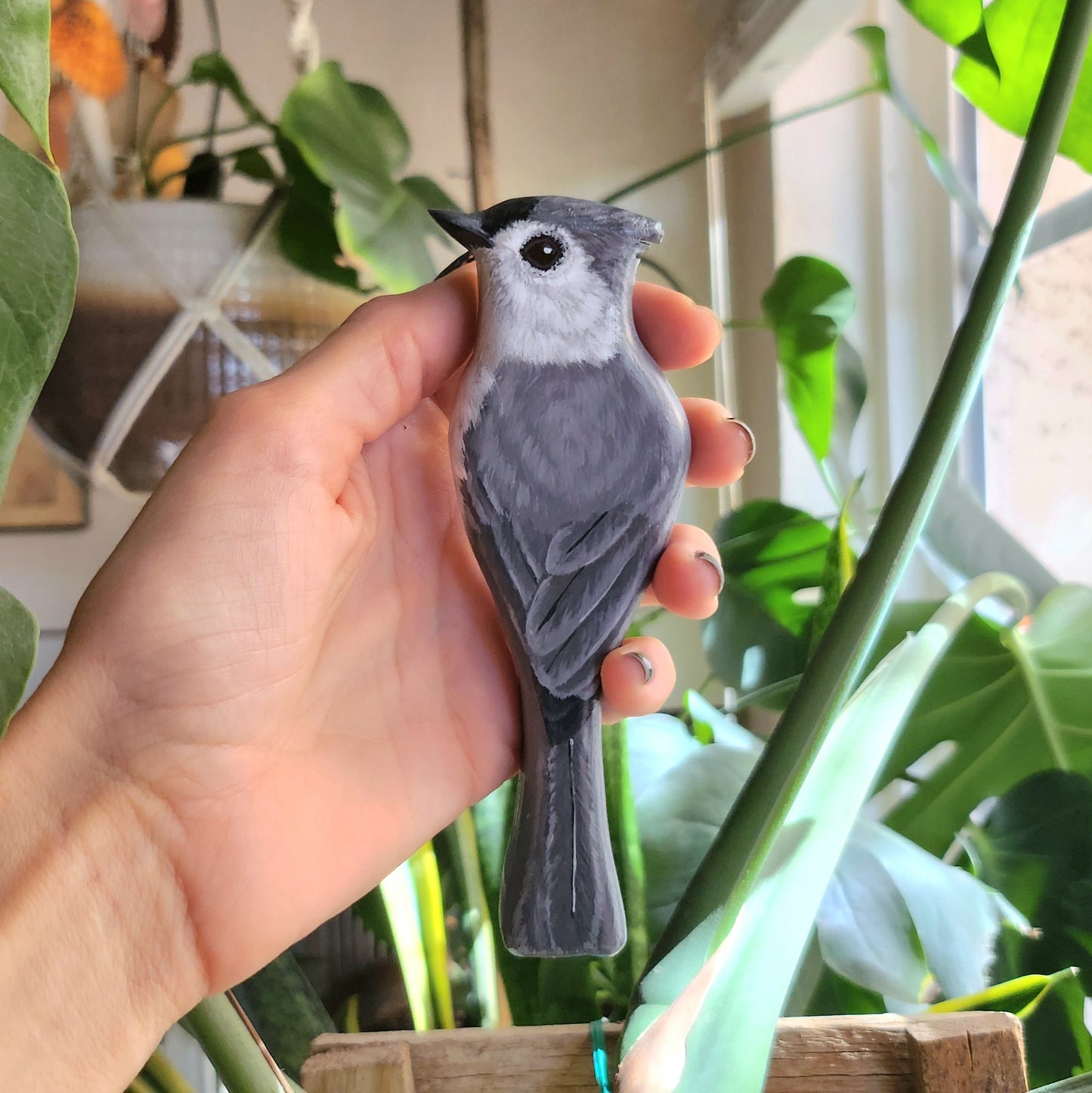Tufted Titmouse