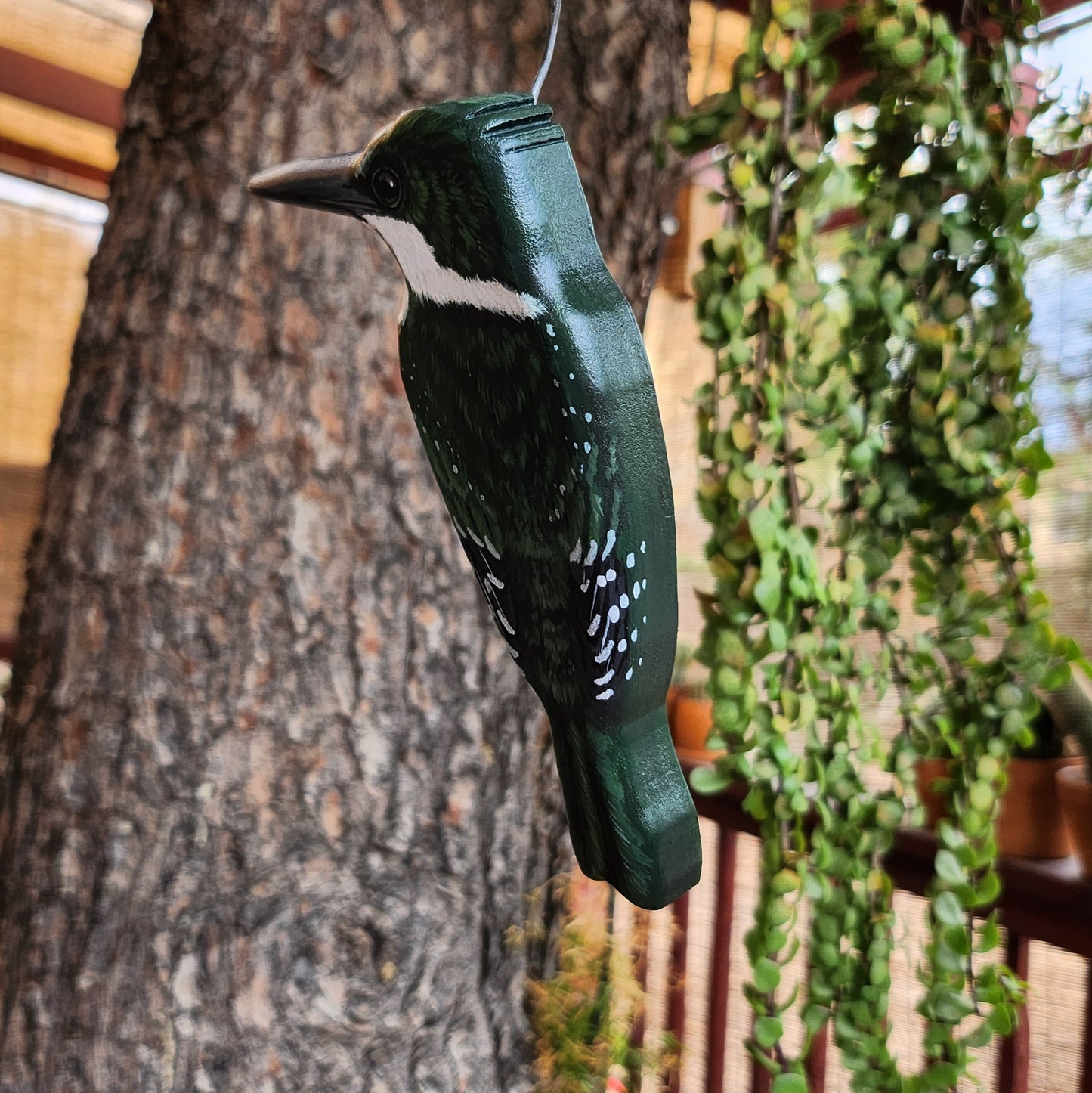 Green Kingfisher