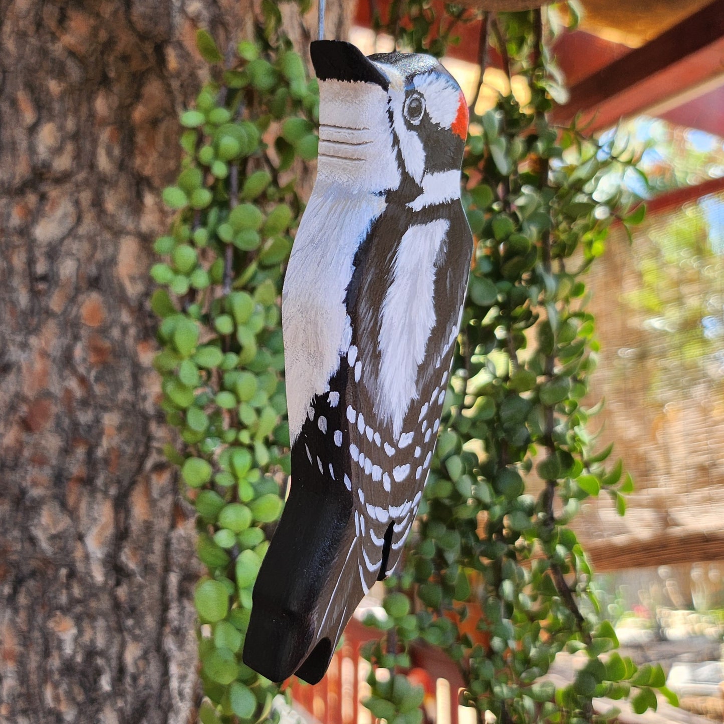 Downy Woodpecker