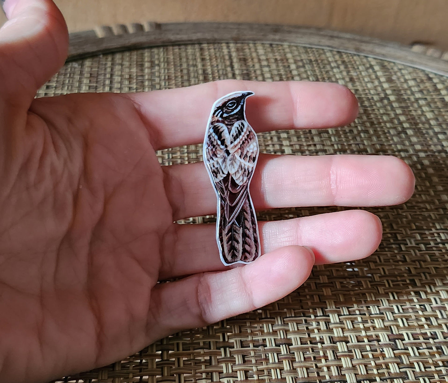 Large Tailed Nightjar - Resin Coated Polystyrene Pin - 100% Handmade Bird Portrait Pin