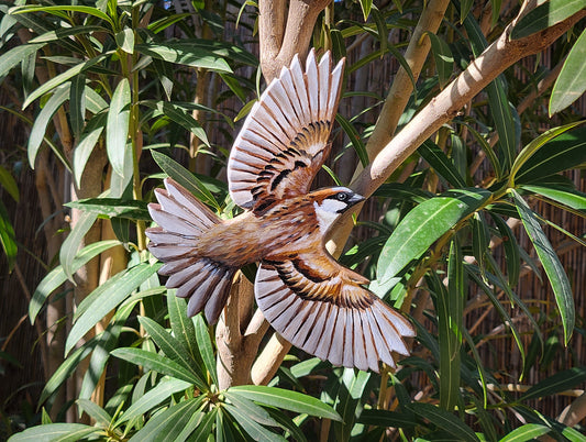 House Sparrow - Wooden Wall Art, Handmade, Painted Bird on Wood, Bird Wall Sculpture