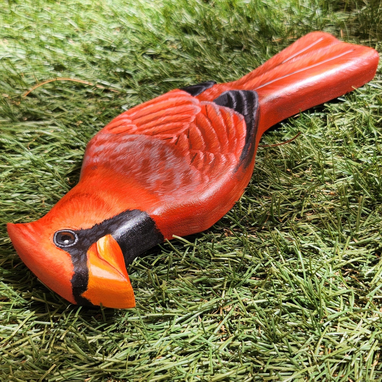 Northern Cardinal