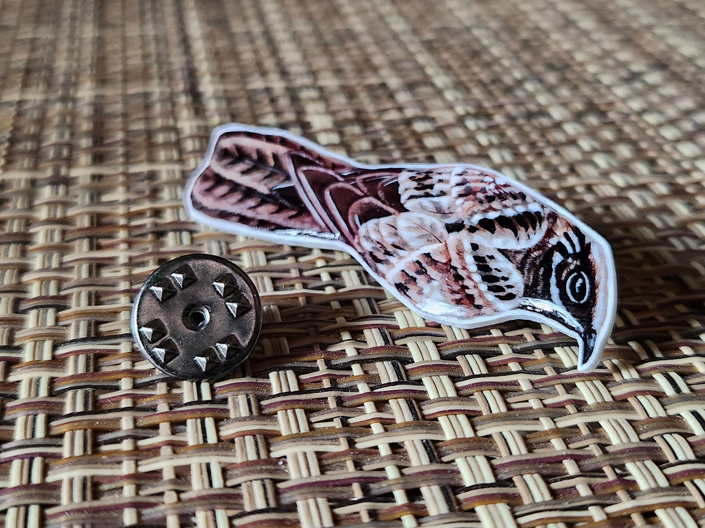 Large Tailed Nightjar - Resin Coated Polystyrene Pin - 100% Handmade Bird Portrait Pin