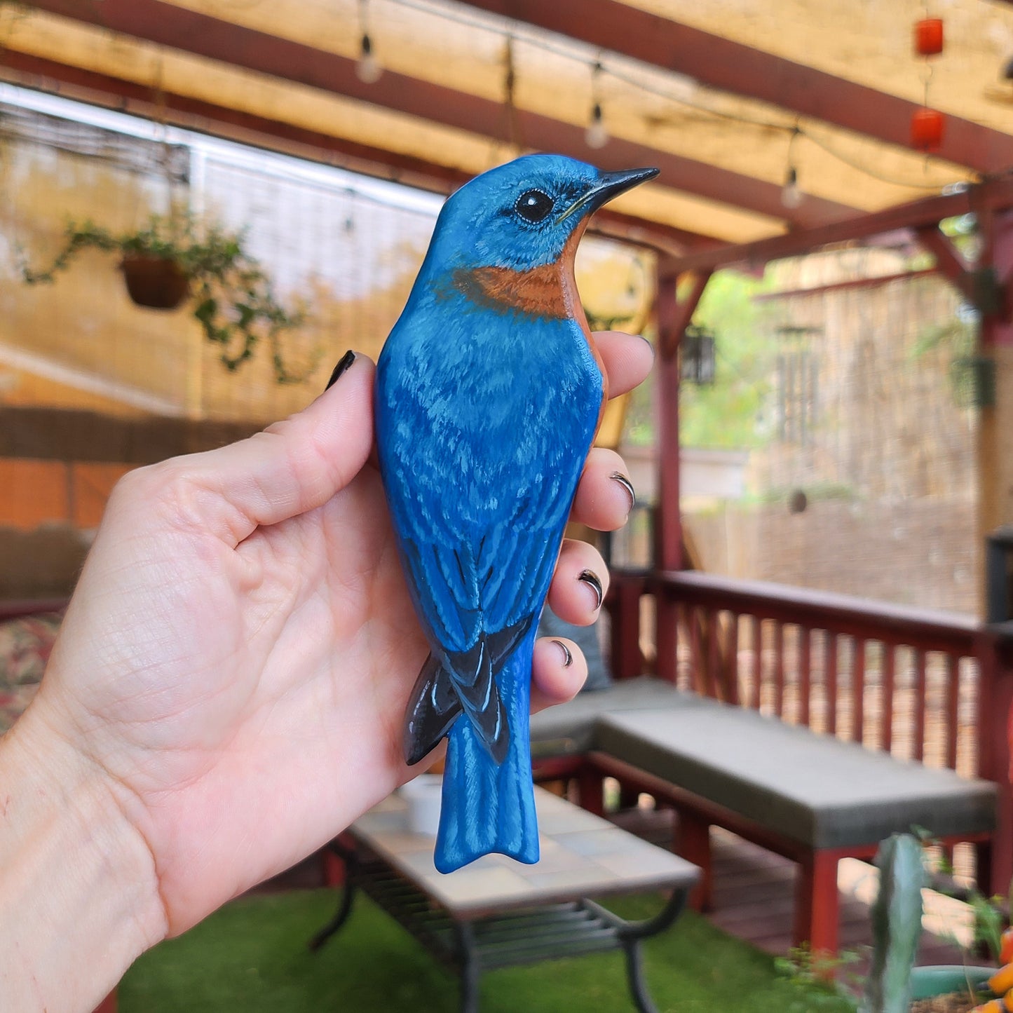 Eastern Bluebird