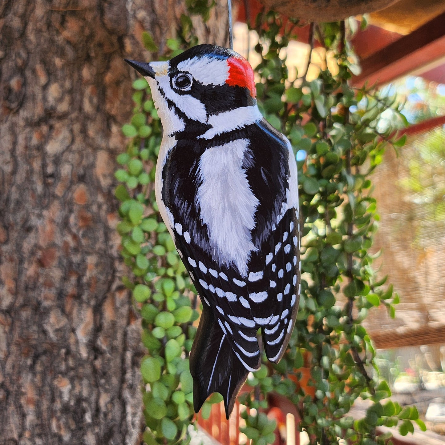 Downy Woodpecker
