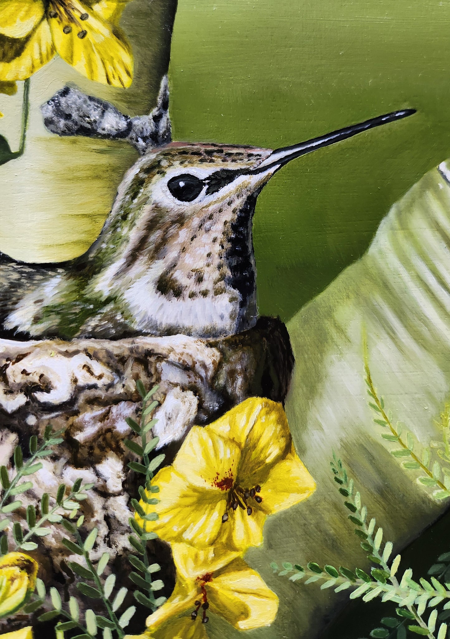 Where the Desert Softens