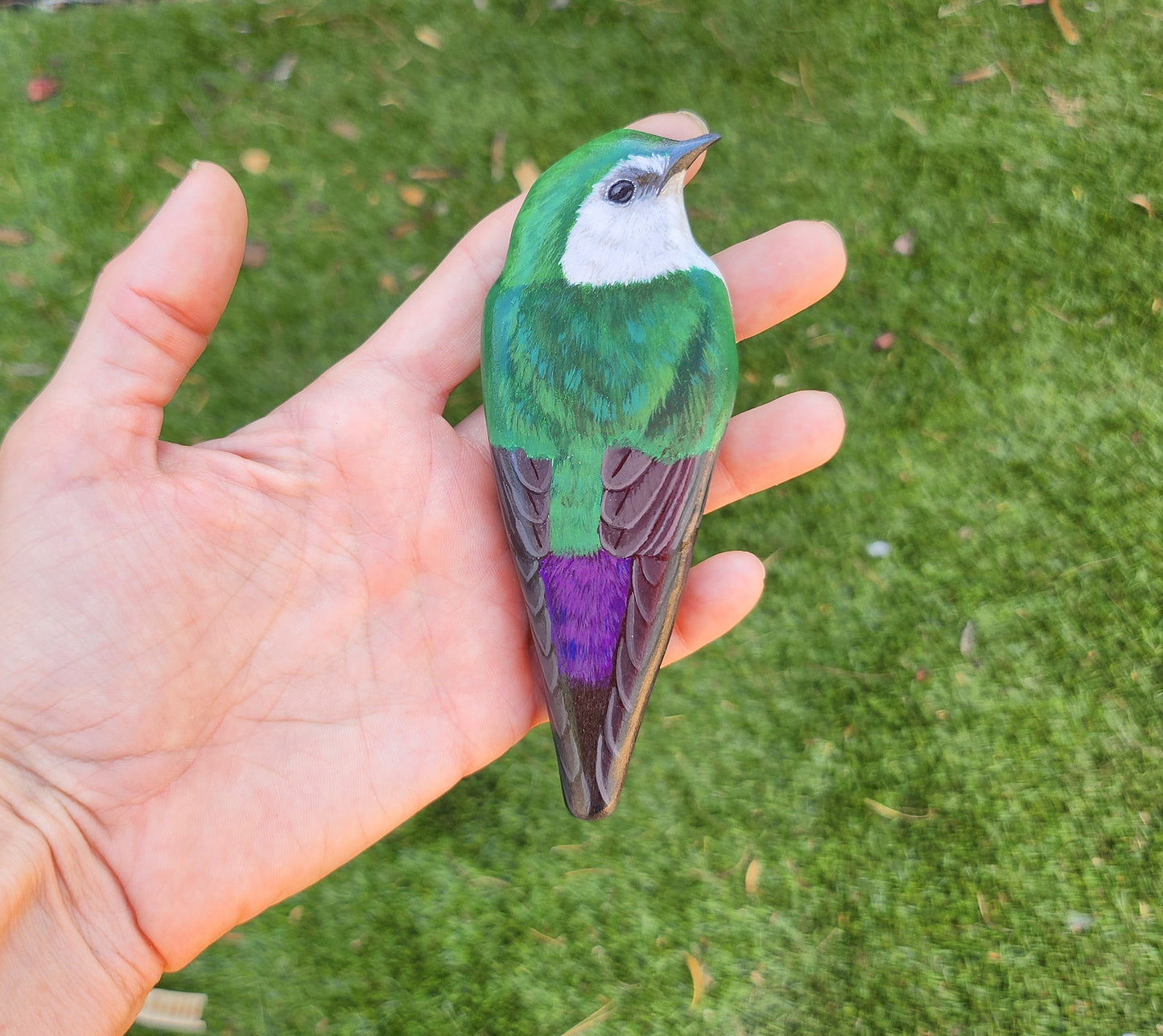 Violet-Green Swallow