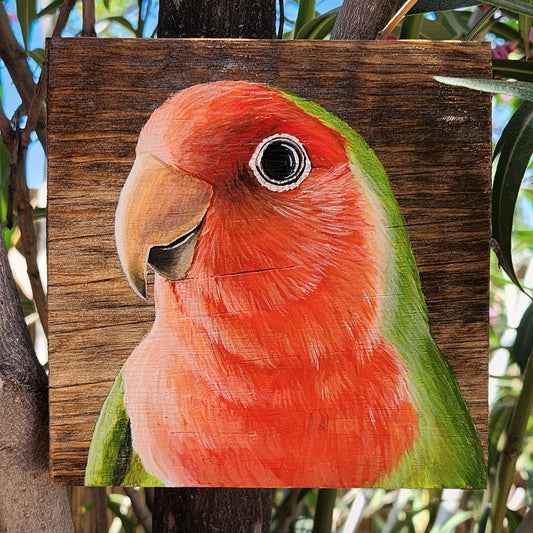 Rosy Faced Lovebird Acrylic Painting on Reclaimed Wood, Sonoran Desert wall art, Peach Faced Lovebird Decor, Parrot Art