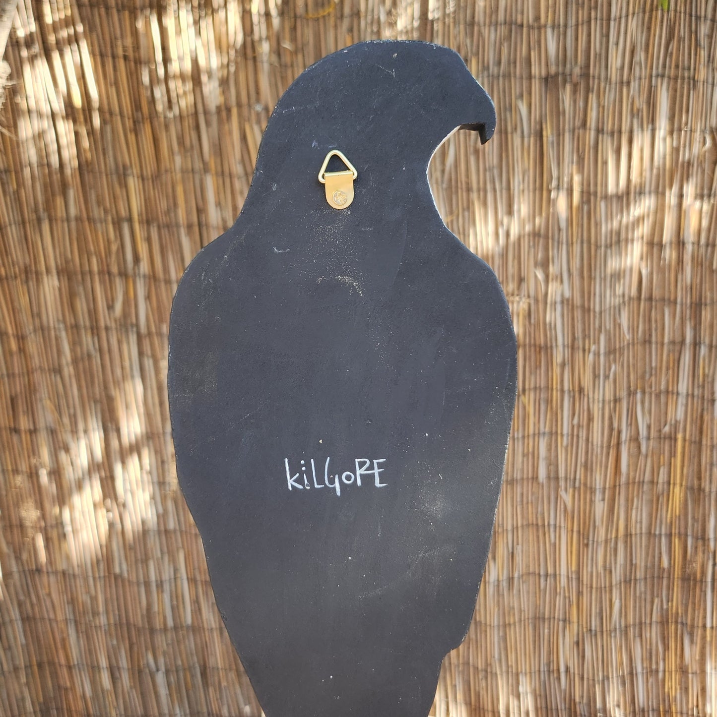 Cooper's Hawk