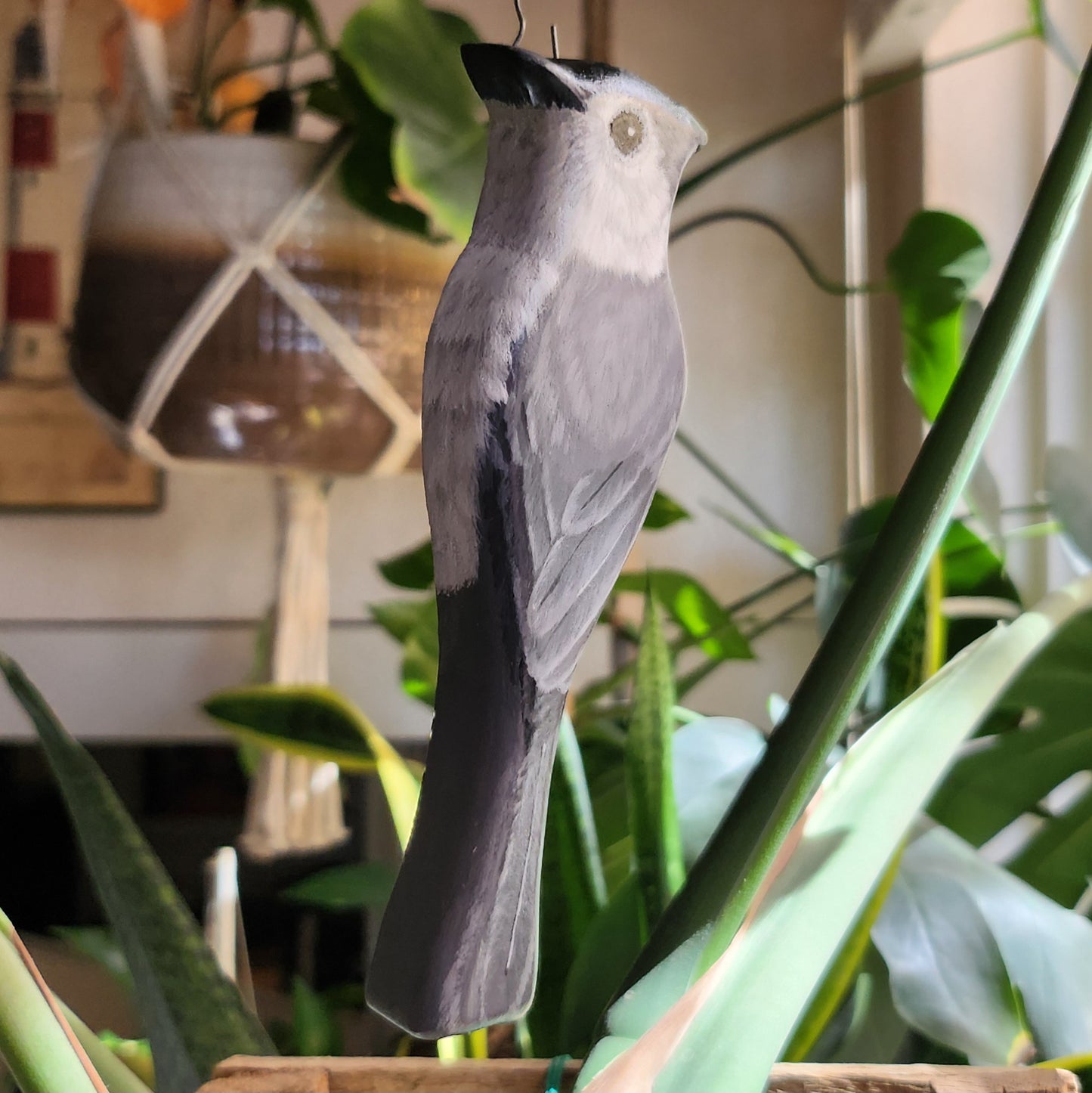 Tufted Titmouse