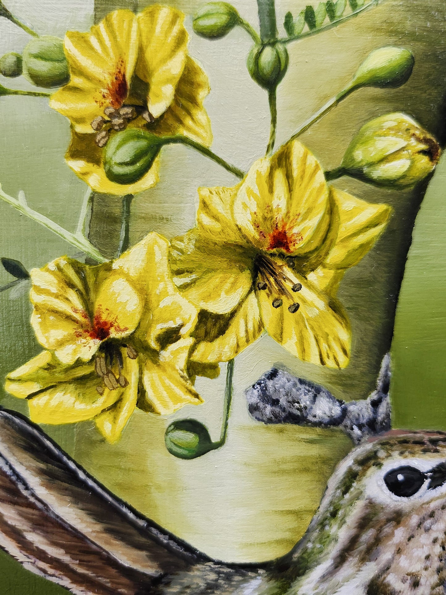 Where the Desert Softens