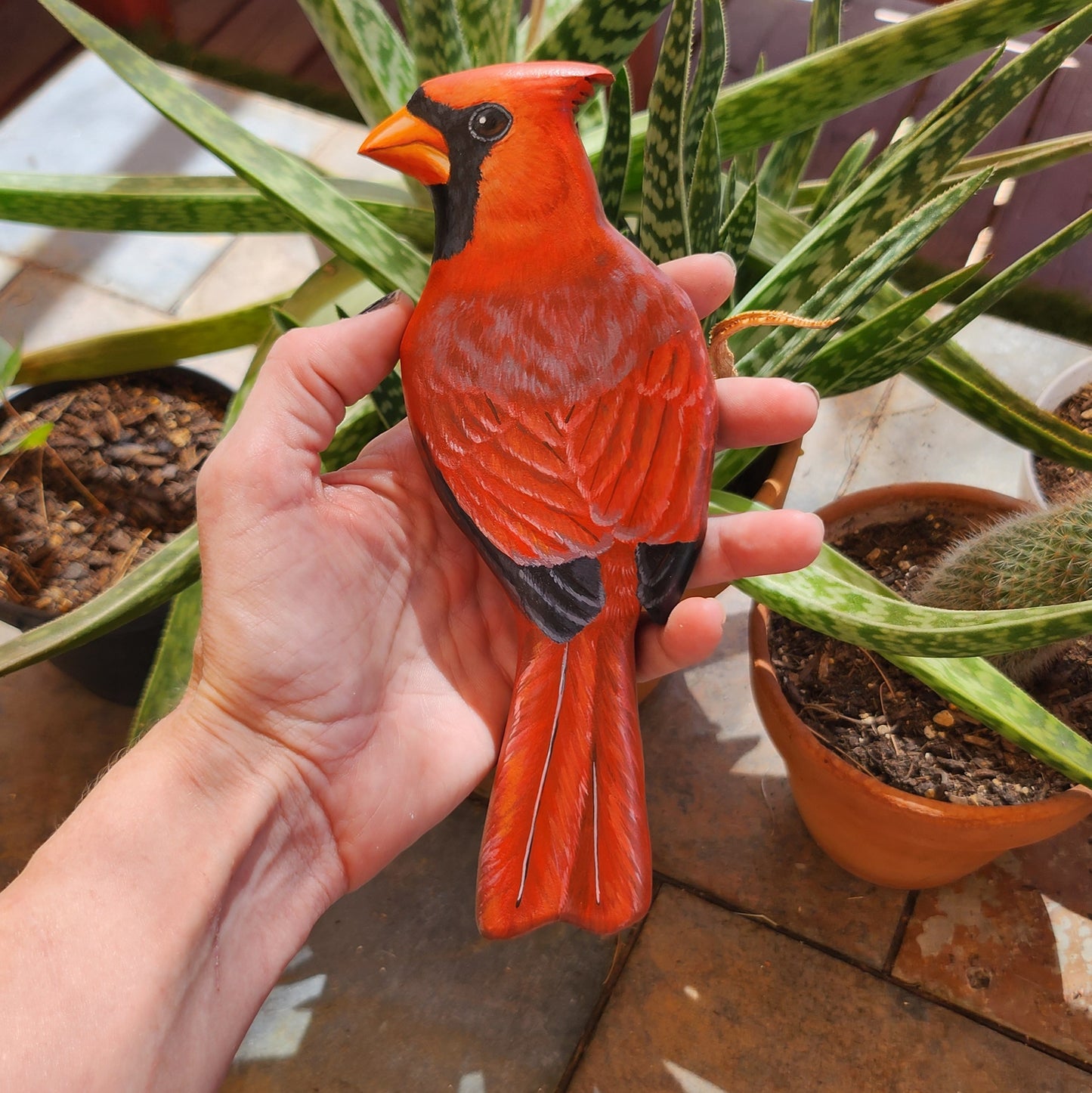 Northern Cardinal