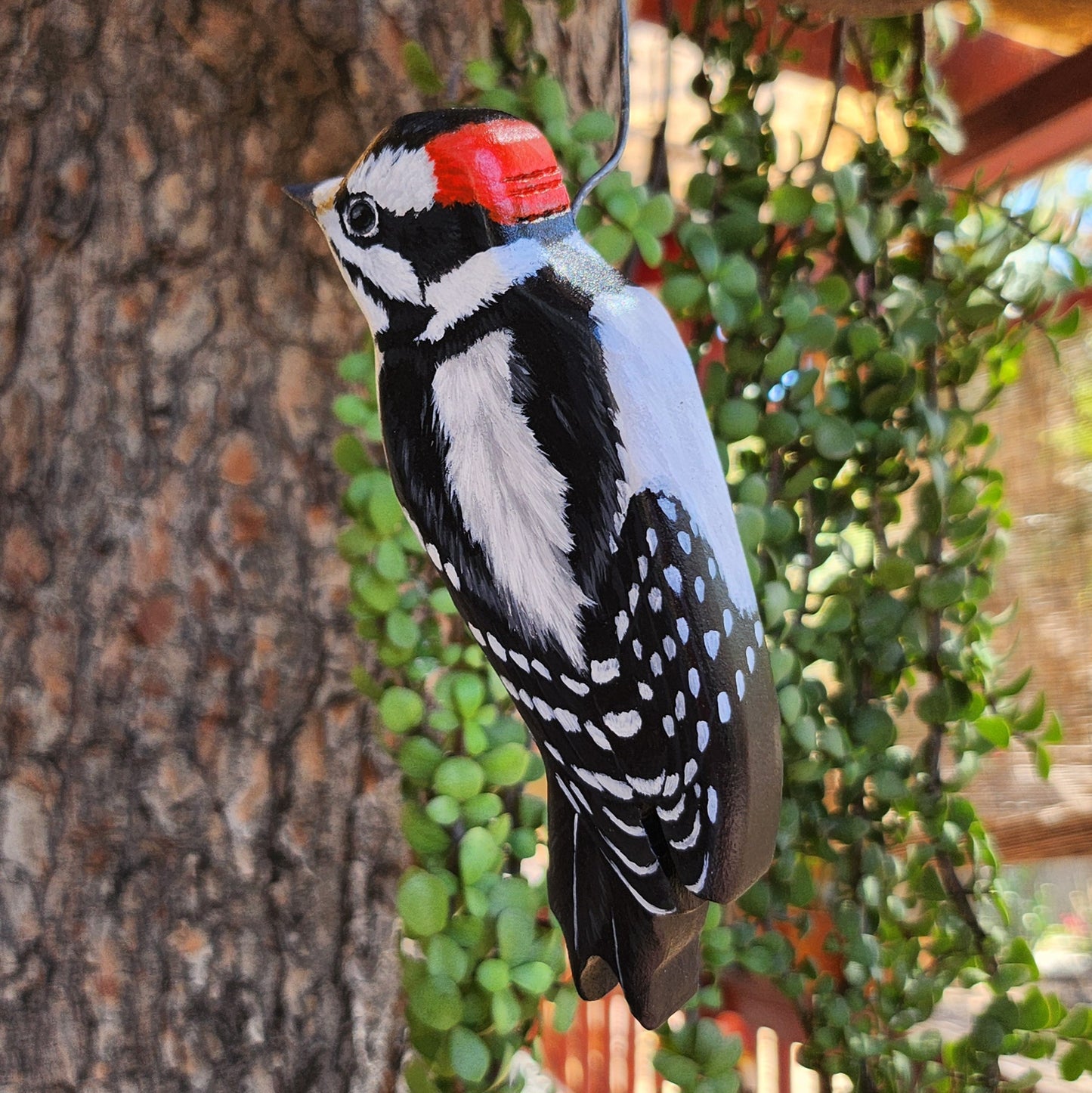 Downy Woodpecker
