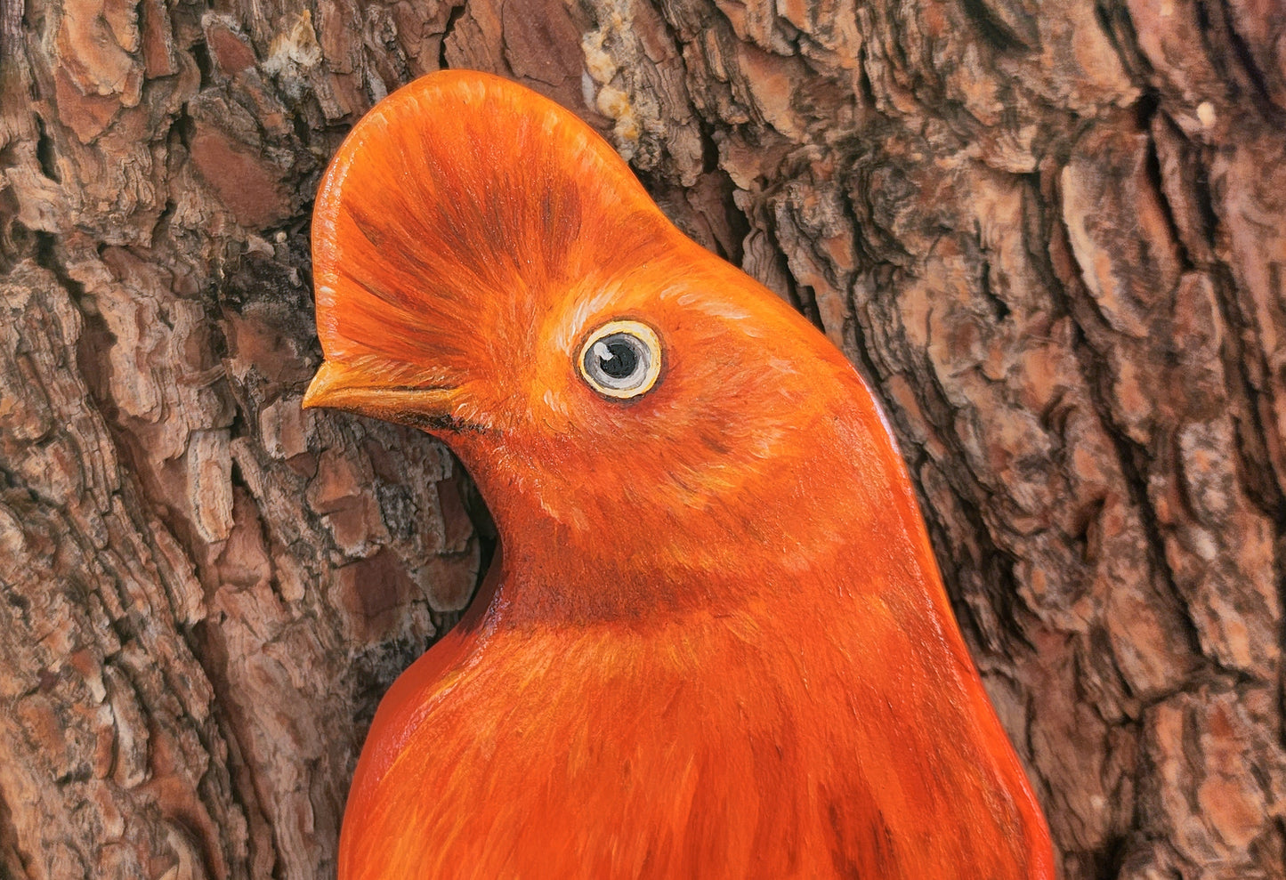 Andean Cock of the Rock - Wooden Wall Art, Handmade, Painted Bird on Wood, Life-size Bird