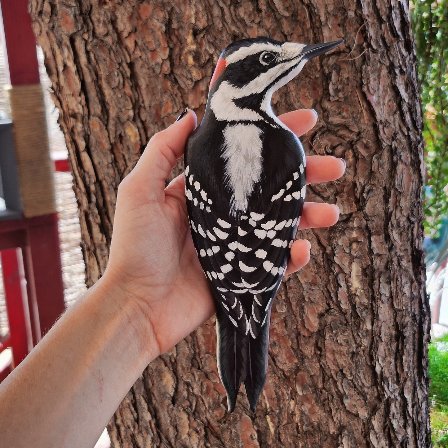 Hairy Woodpecker