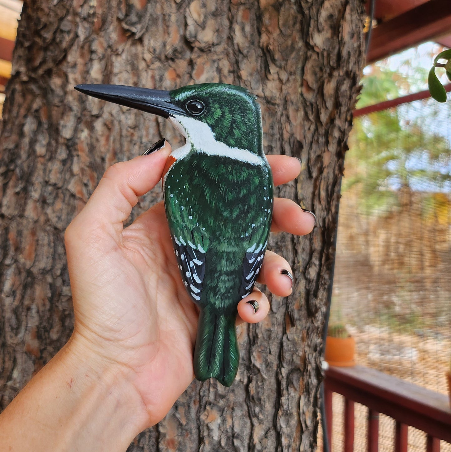 Green Kingfisher