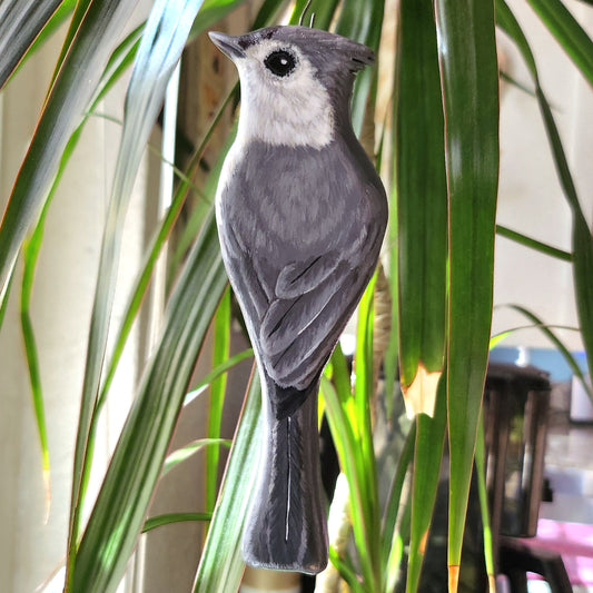 Tufted Titmouse