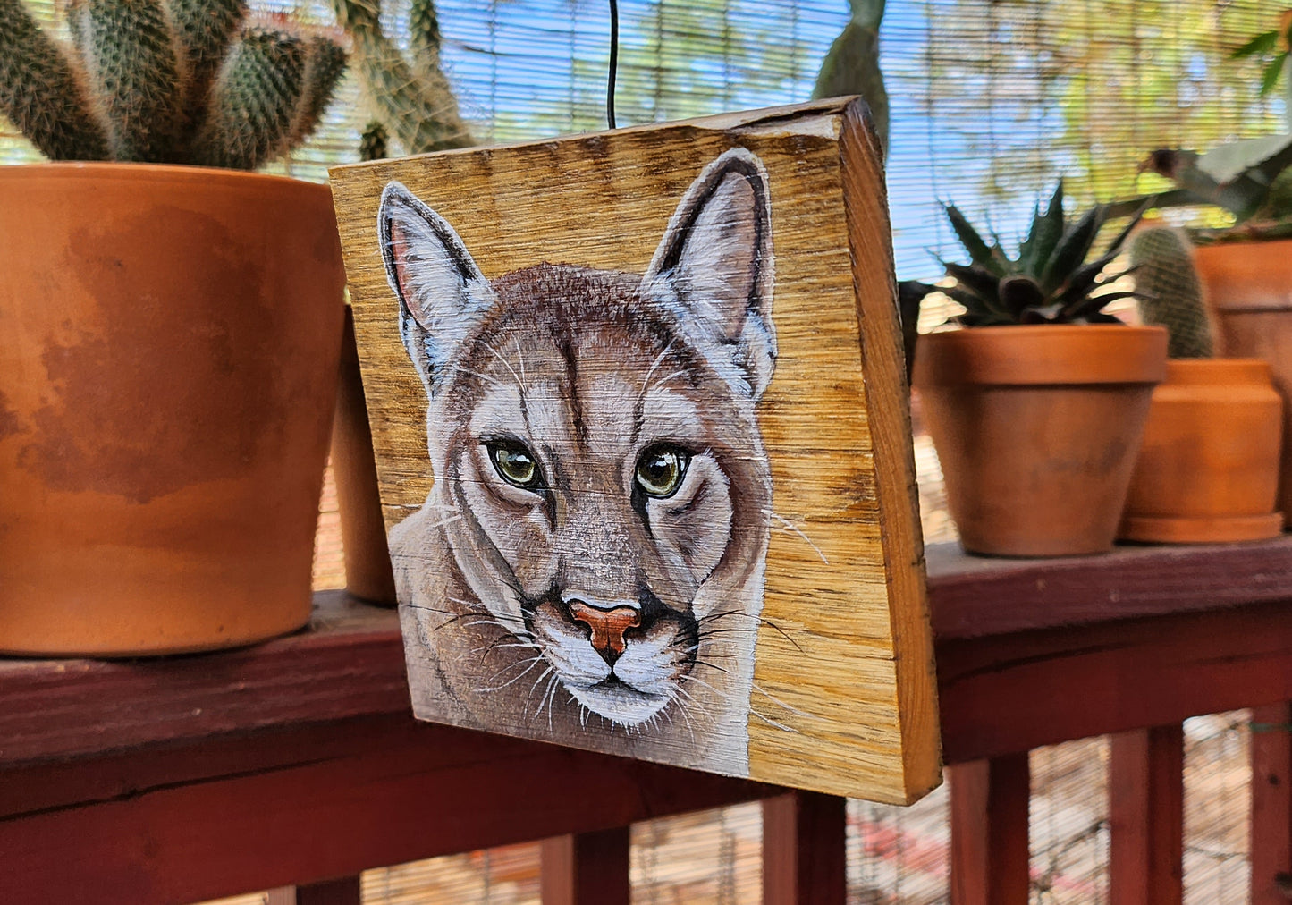 Cougar Acrylic Painting on Reclaimed Wood, Sonoran Desert, Southwestern Art, Catamount, Panther, Puma, Mountain Lion
