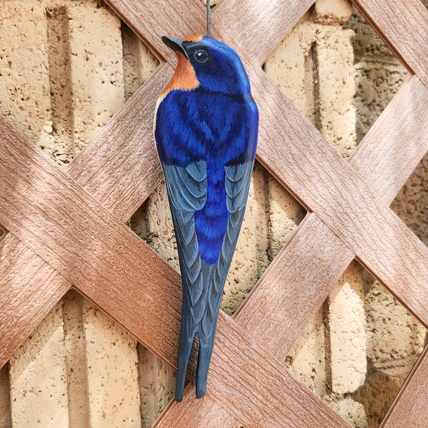 Barn Swallow