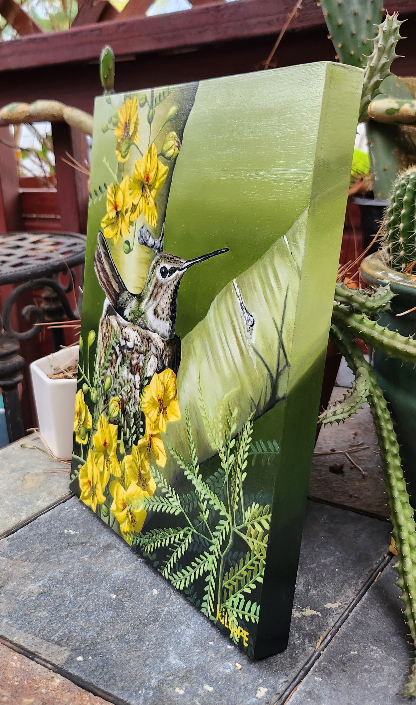 Where the Desert Softens