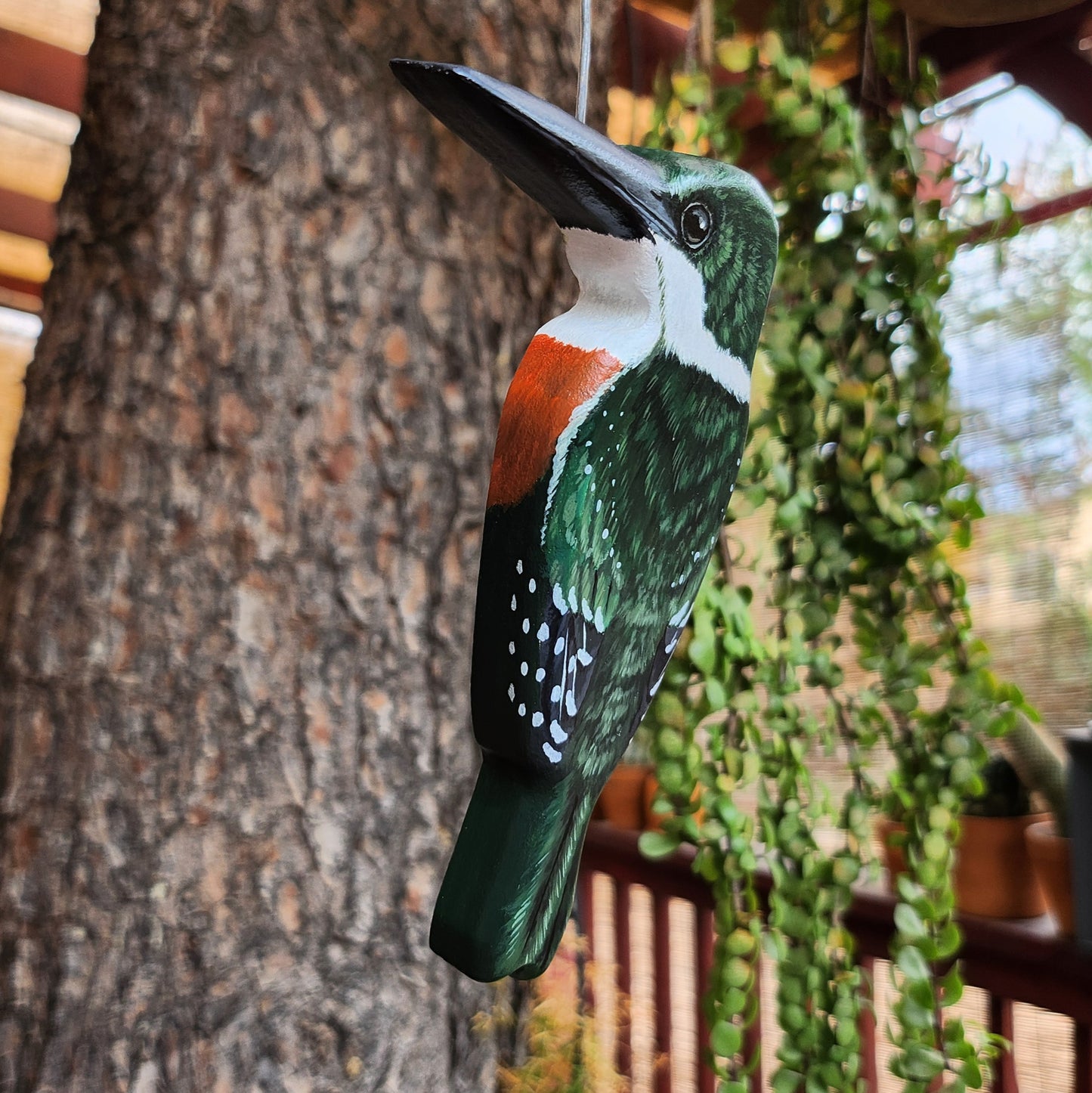 Green Kingfisher