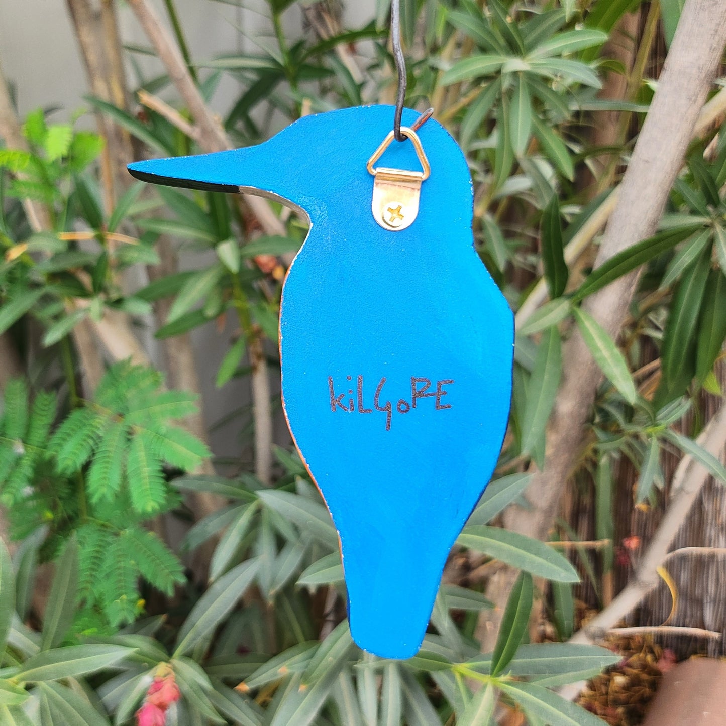 Common Kingfisher