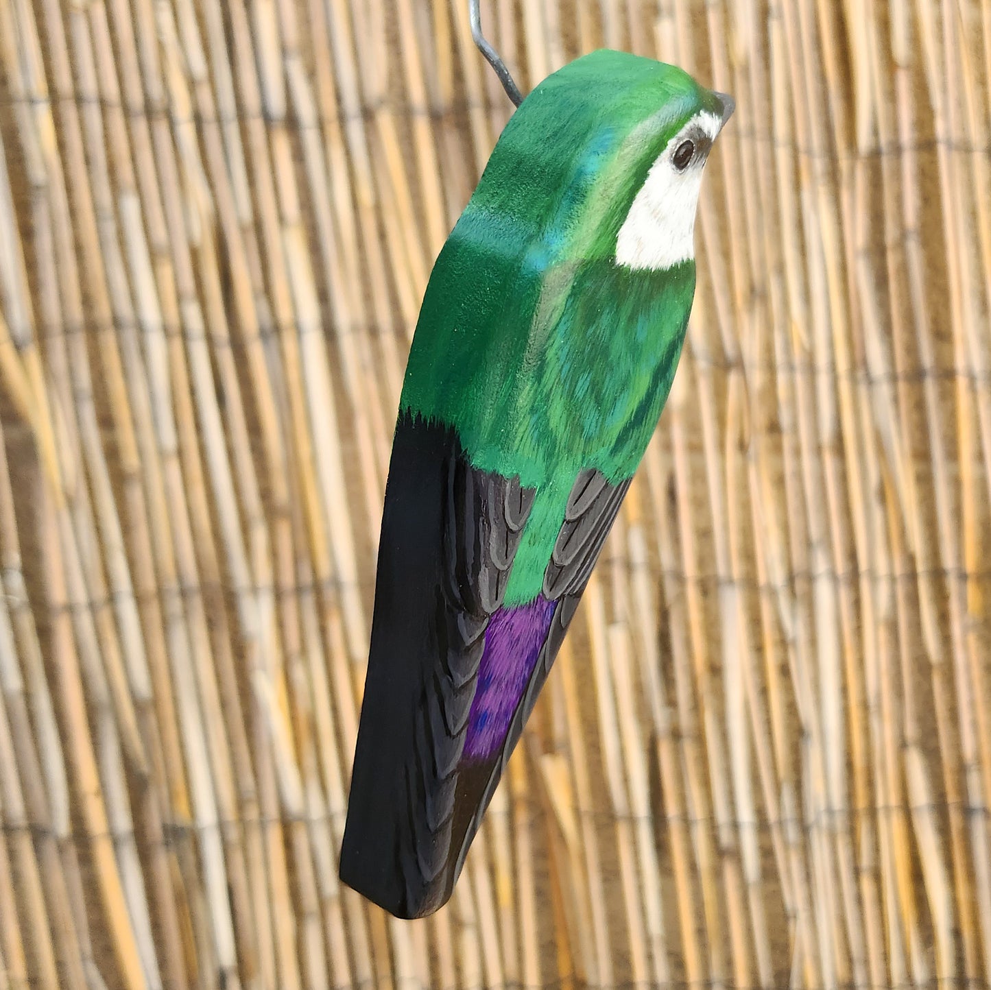 Violet-Green Swallow