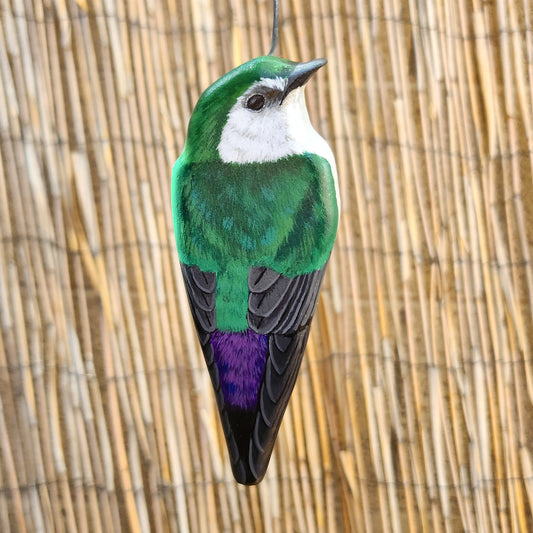 Violet-Green Swallow