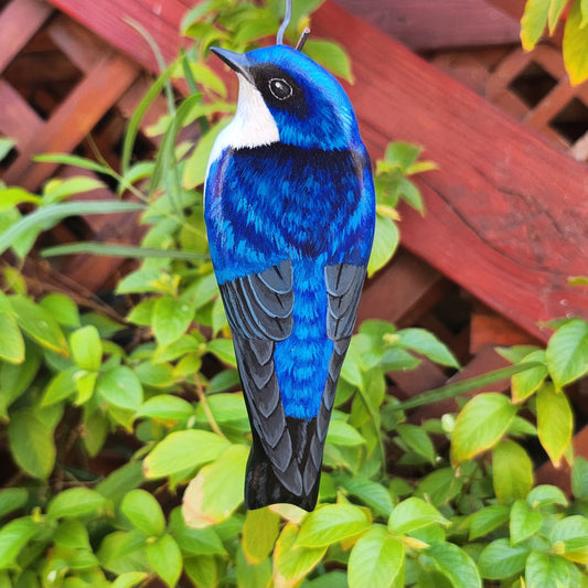 Tree Swallow