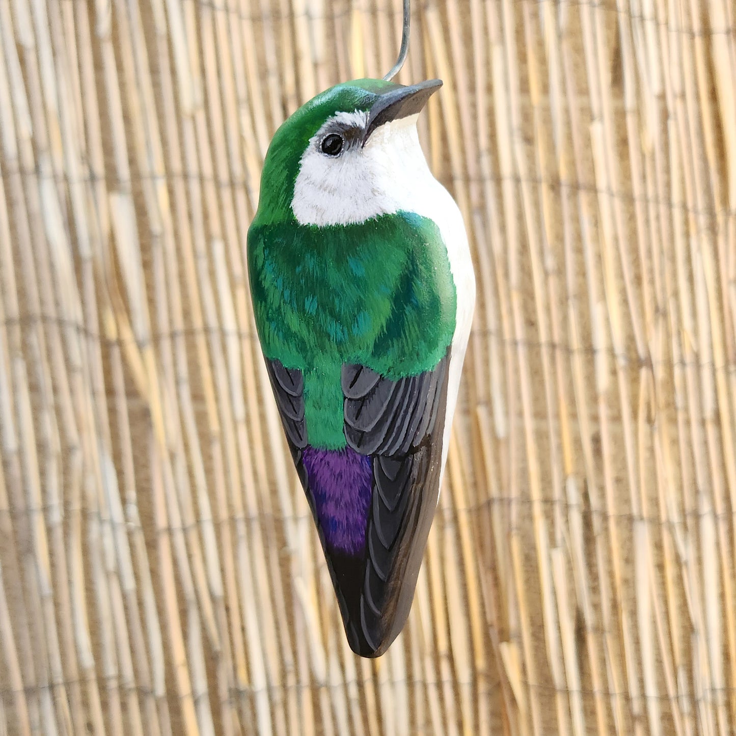Violet-Green Swallow