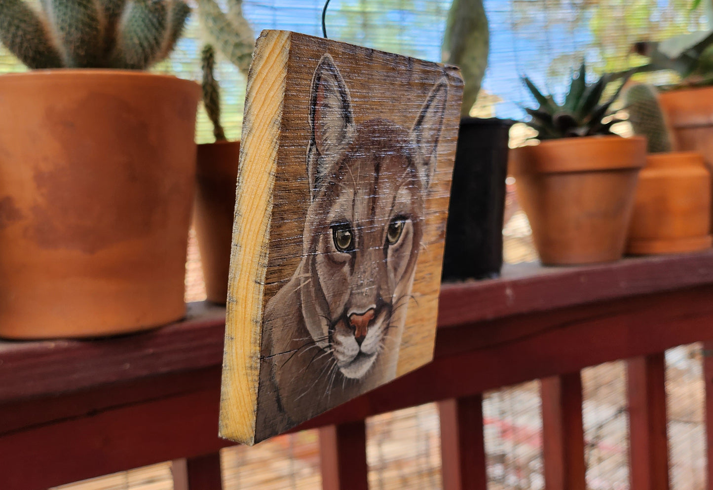 Cougar Acrylic Painting on Reclaimed Wood, Sonoran Desert, Southwestern Art, Catamount, Panther, Puma, Mountain Lion