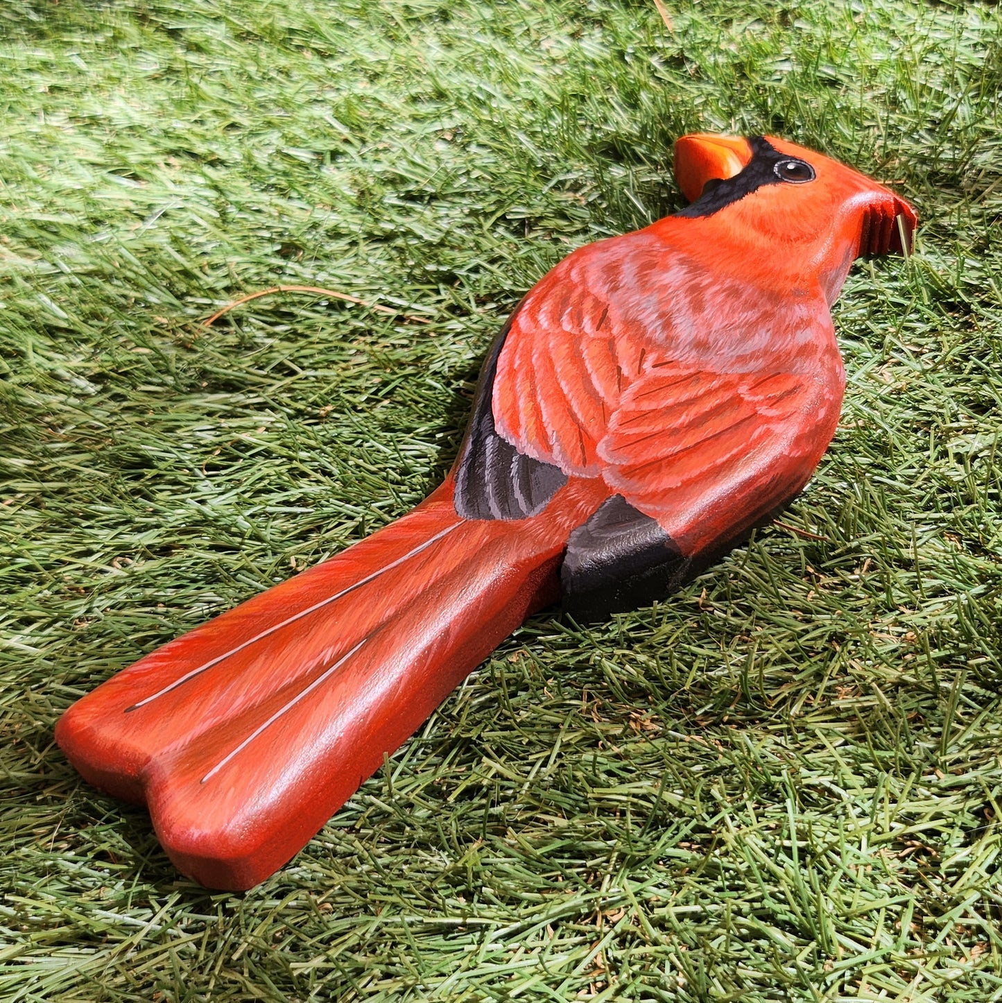Northern Cardinal