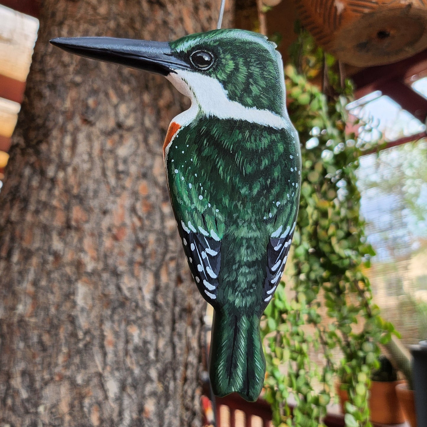 Green Kingfisher