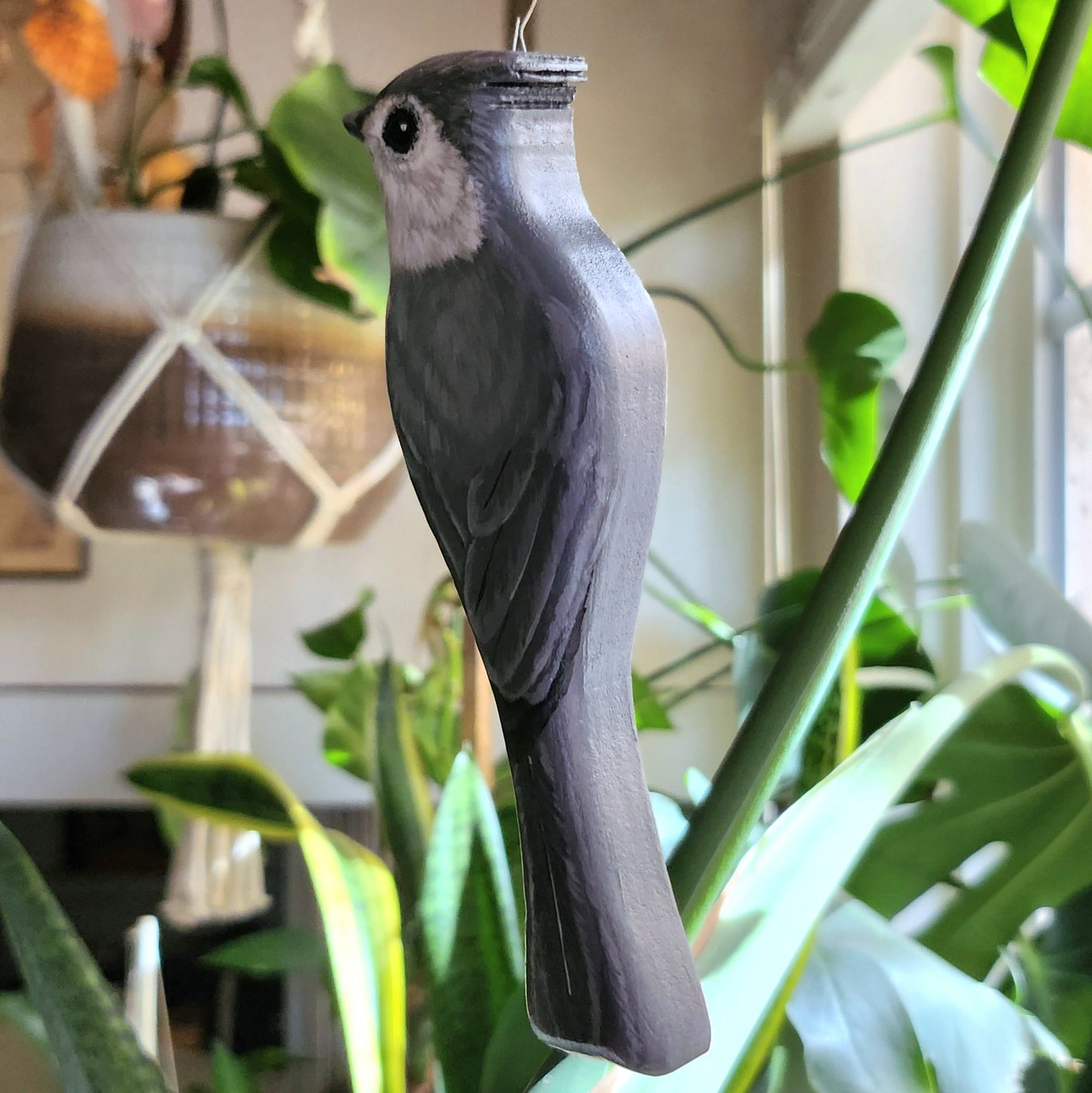 Tufted Titmouse