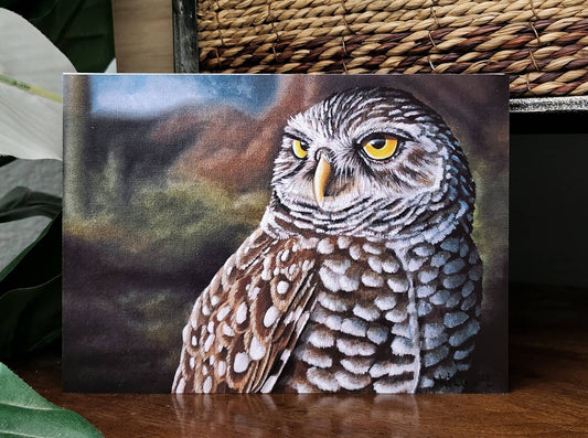 Burrowing Owl - 5 x 7  Fine Art Print - By Kilgore - Southwestern Wall Decor