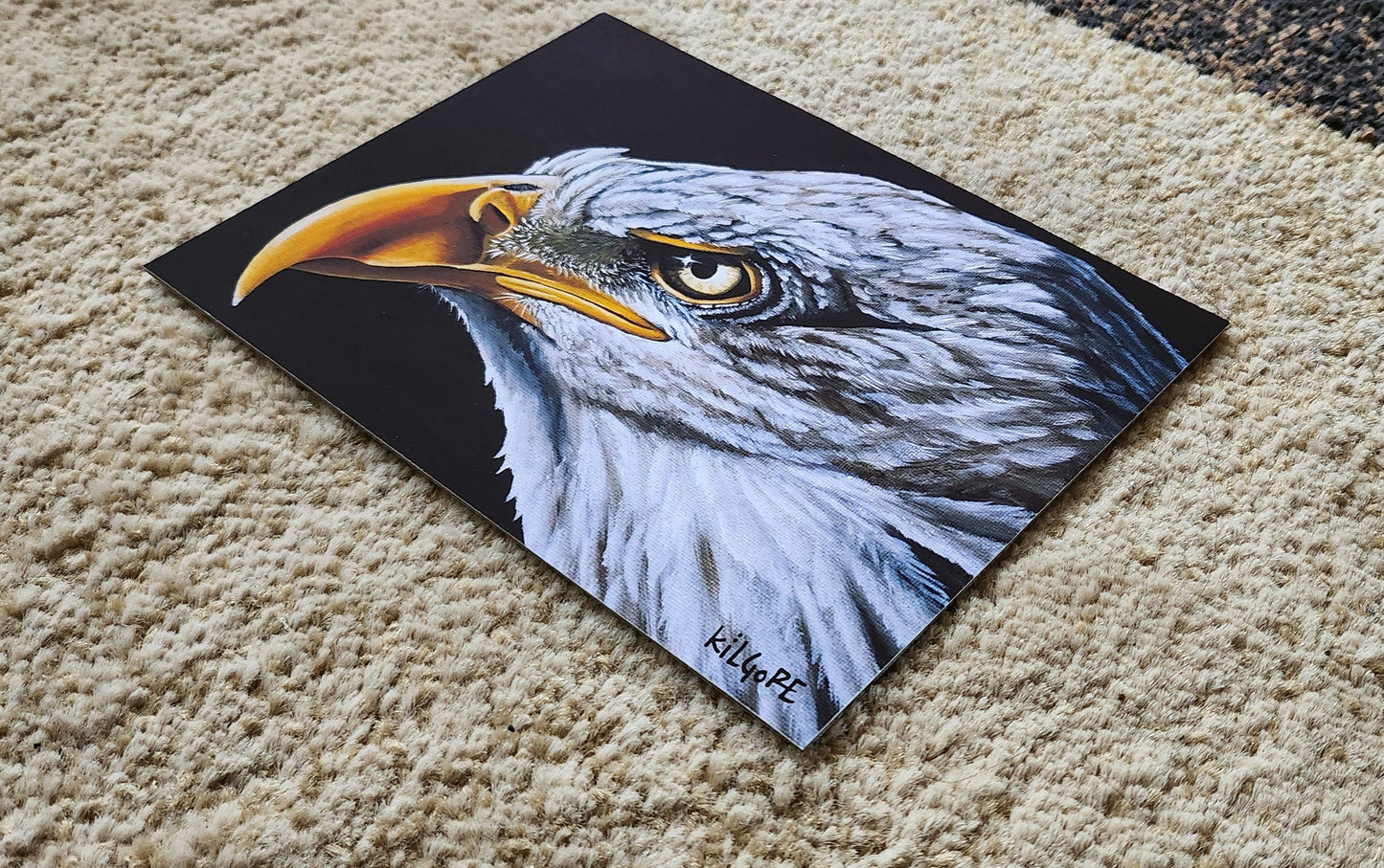 Bald Eagle - 5 x 7 Fine Art Print - By Kilgore