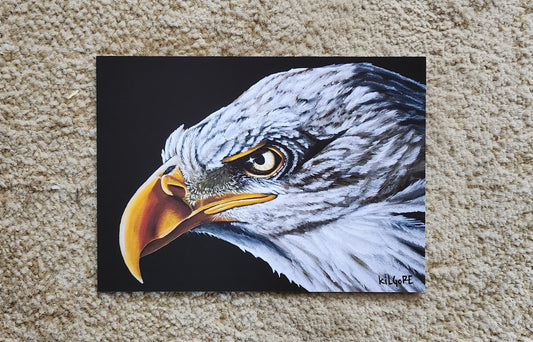 Bald Eagle - 5 x 7 Fine Art Print - By Kilgore