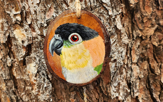 Black Headed Caique - Pear Wood Slice, Hand Painted Parrot on Wood, Black-crowned Parrot, Black-capped Parrot, Black-headed Parrot Ornament