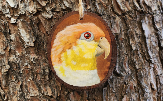 White Bellied Caique - Pear Wood Slice, Hand Painted Parrot on Wood Green-Thighed Parrot, Eastern White-Bellied Parrot Ornament