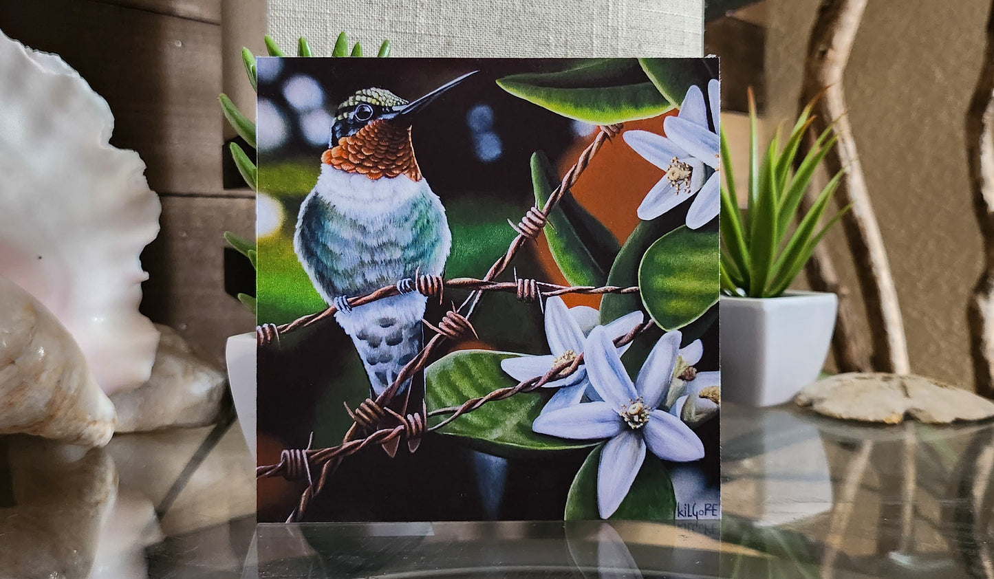 Ruby Throated Hummingbird - Fine Art Print - By Kilgore, Hummingbird and Flowers