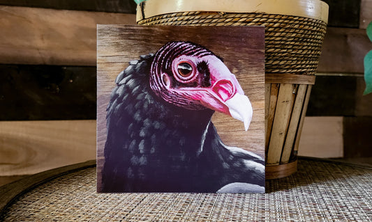 Turkey Vulture - Fine Art Print - By Kilgore - Southwestern Wall Decor, Bird Portrait