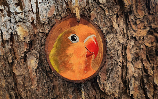 Fischers Lovebird - Pear Wood Slice, Hand Painted Parrot on Wood Parakeet
