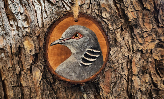 Turtle Dove - Pear Wood Slice, Hand Painted Dove on Wood, Bird Wall Ornament