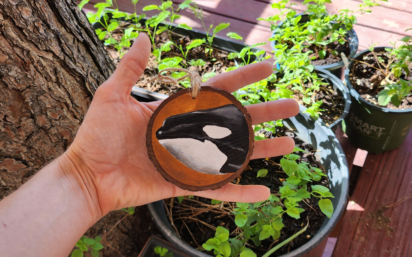 Orca - Wooden Ornament, Hand Painted on Wood, Dolphin, Porpoise, Whale