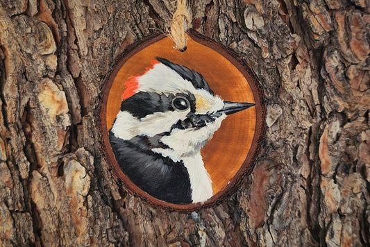 Downy Woodpecker - Pear Wood Ornament, Hand Painted Bird on Wood, Woodpecker Wall Art, Woodland Decor, Christmas Ornament