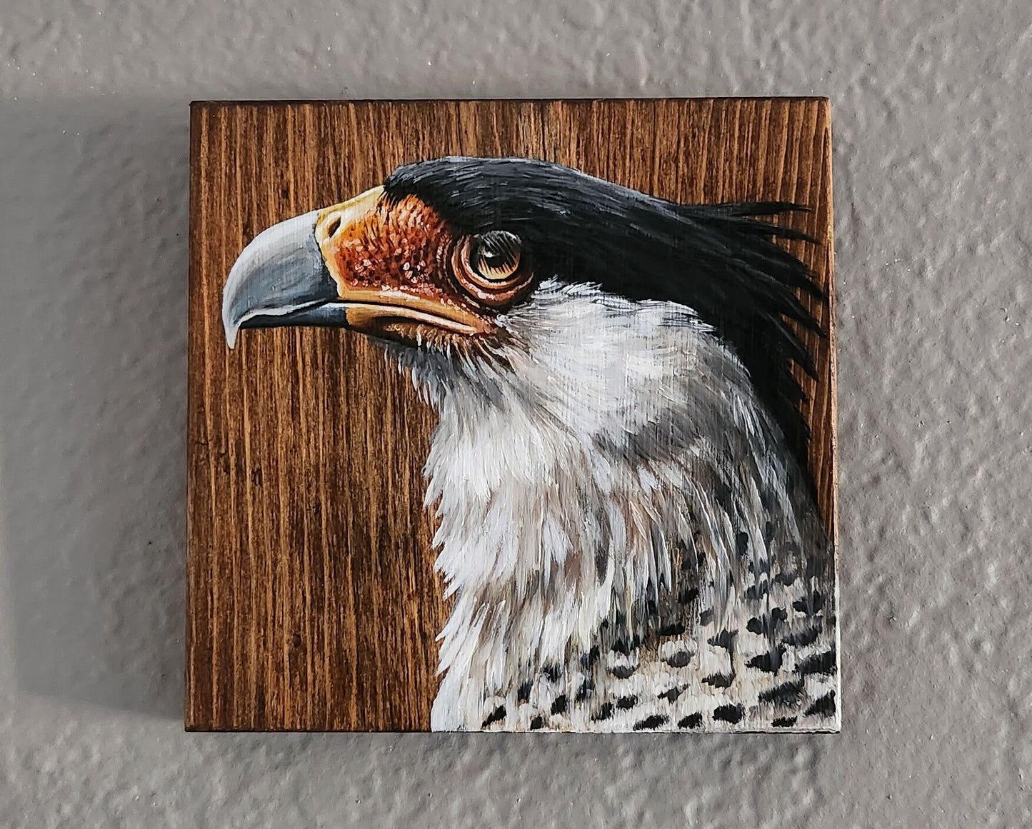 Crested Caracara Oil Painting on Reclaimed Wood, Sonoran Desert wall art, Southwestern Decor, Mexican Eagle